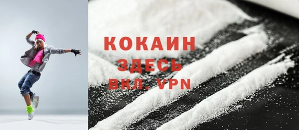 индика Кулебаки