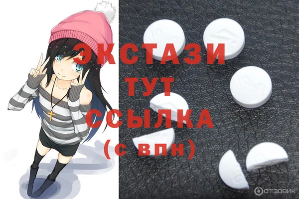 индика Кулебаки