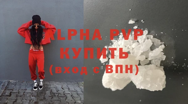 индика Кулебаки