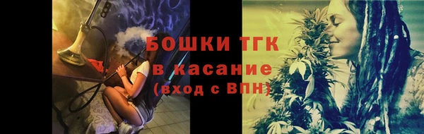 индика Кулебаки