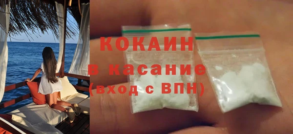 индика Кулебаки