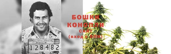 индика Кулебаки
