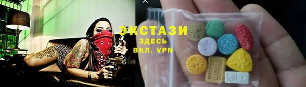 индика Кулебаки