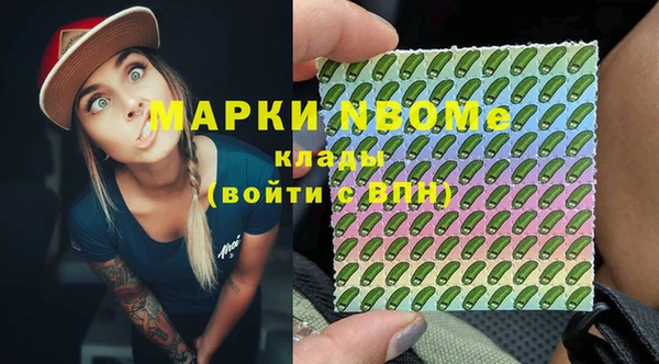 индика Кулебаки