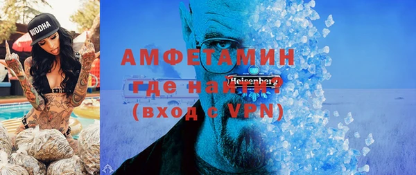 индика Кулебаки