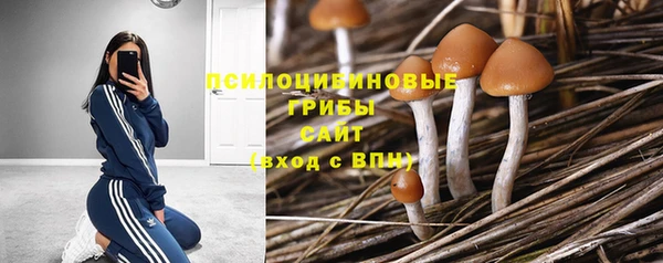 меф Кукмор