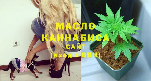 индика Кулебаки