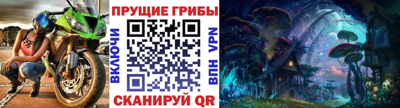 Купить закладки  Звенигово  Галлюциногенные грибы Psilocybe 